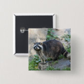 Raccoon-Buttone Button (Vorne & Hinten)