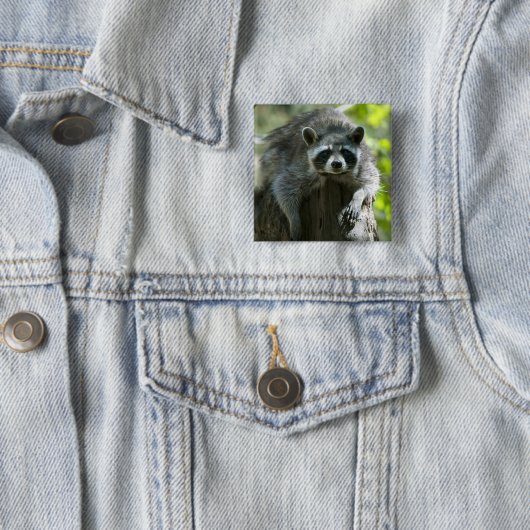Raccoon-Buttone Button (Beispiel)