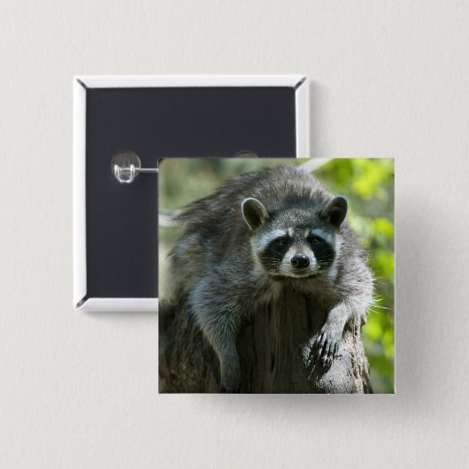 Raccoon-Buttone Button (Vorne & Hinten)