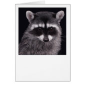 Raccoon Card "Hooligan" (Vorne)