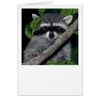 Raccoon Card "Local Bandit"