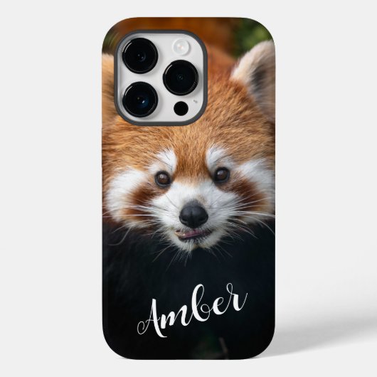 Raccoon Case-Mate iPhone Hülle (Rückseite)