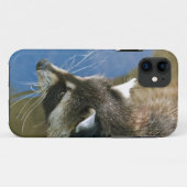 Raccoon Case-Mate iPhone Hülle (Rückseite (Horizontal))