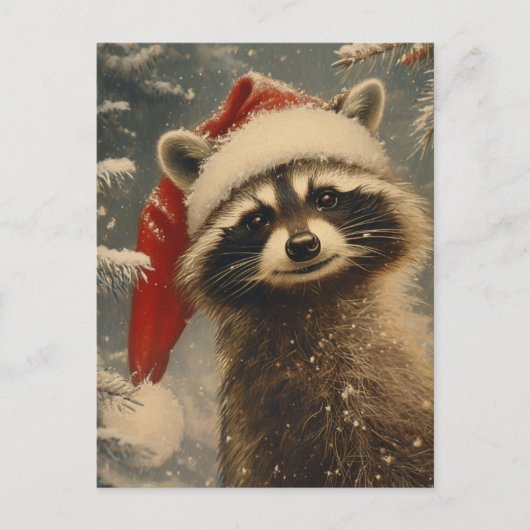 Raccoon Christmas Postkarte (Vorderseite)