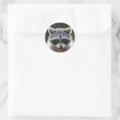 Raccoon Coon Wild Animals Wildlife Stickers (Tasche)