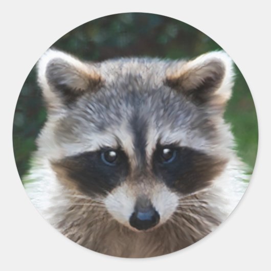 Raccoon Coon Wild Animals Wildlife Stickers (Vorderseite)