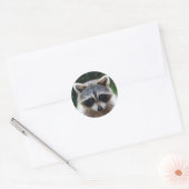 Raccoon Coon Wild Animals Wildlife Stickers (Umschlag)