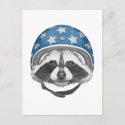 Raccoon Daredevil Postkarte (Vorderseite)
