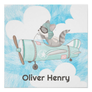 Raccoon des Flugzeugführers Poster