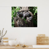 Raccoon - Die drei Amigos Poster (Küche)