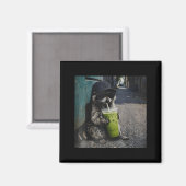 Raccoon drinking matcha latte funny animal meme me magnet (Vorderseite/Rückseite)