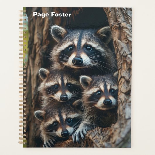 Raccoon-Familie Planer (Vorderseite)