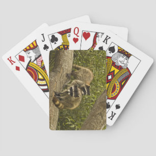 Raccoon-Familie Spielkarten