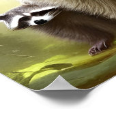 Raccoon Family Wildlife Portrait Poster (Ecke)