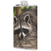 Raccoon Flachmann (Links)