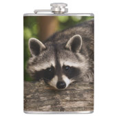 Raccoon Flachmann (Vorderseite)