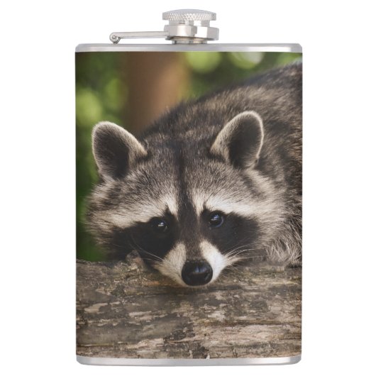 Raccoon Flachmann (Vorderseite)