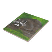 Raccoon Fliese (Seite)