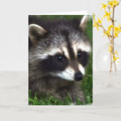 Raccoon Foto Grußkarte Karte (Gelbe Blume)