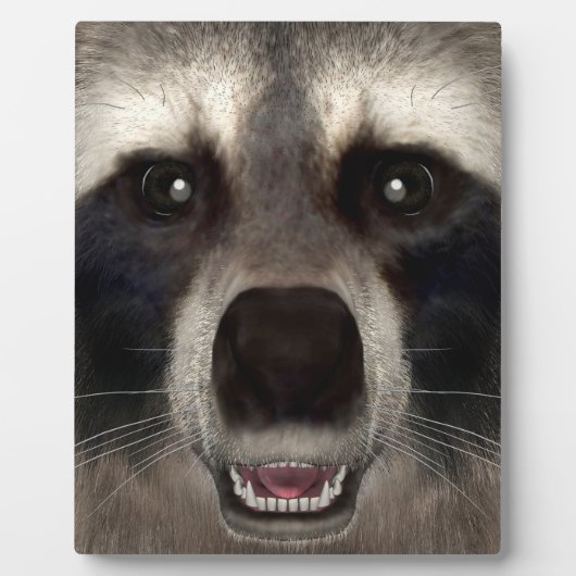 Raccoon Fotoplatte (Vorderseite)