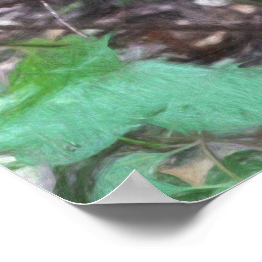 Raccoon-Freigabe Poster (Ecke)