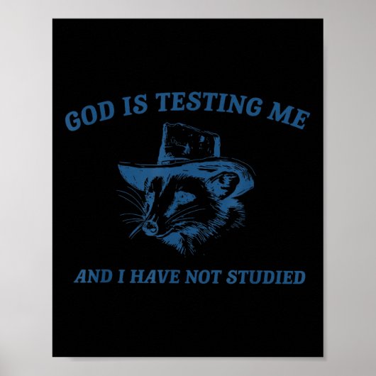 Raccoon God Is Testing Me And I Have Not Studied Poster (Vorne)