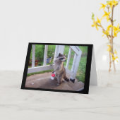 Raccoon Grußkarte Karte (Gelbe Blume)