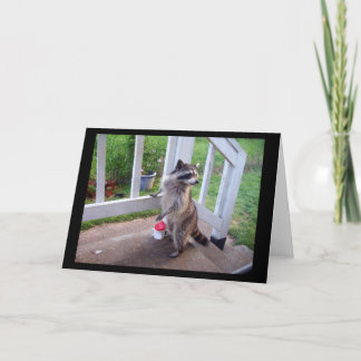 Raccoon Grußkarte Karte