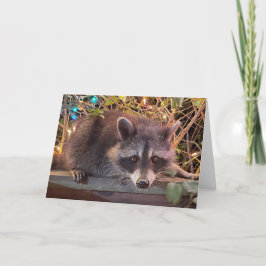 Raccoon Happy Birthday Card für alle Karte