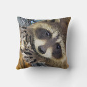 Raccoon im Schneekissen Kissen (Rückseite)