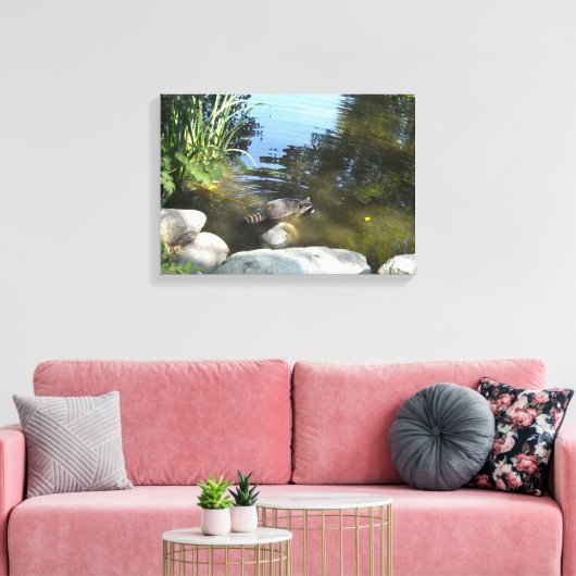 Raccoon im Strom Leinwanddruck (Insitu (Wohnzimmer))