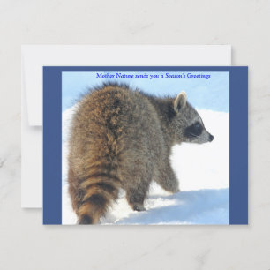 Raccoon im Urlaubssschnee Feiertagskarte