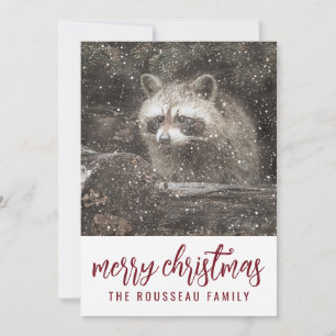 Raccoon im Winter Schnee Weihnachtsfeiertag Feiertagskarte