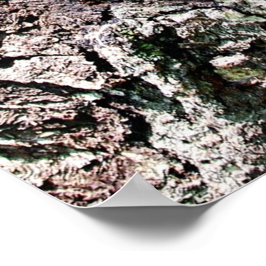 Raccoon in den Den Poster (Ecke)