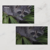 Raccoon in den Pflanze Visitenkarte (Vorne/Hinten)