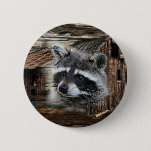 Raccoon in der alten Scheune Button