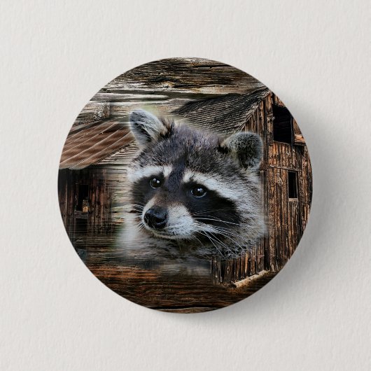 Raccoon in der alten Scheune Button (Vorderseite)