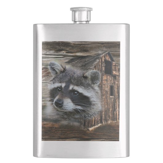 Raccoon in der alten Scheune Flachmann (Vorderseite)