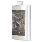 Raccoon in der alten Scheune Flachmann (Links)
