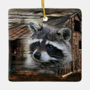 Raccoon in der alten Scheune Keramikornament