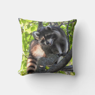 Raccoon in einem Baum Kissen