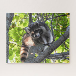 Raccoon in einem Baum Puzzle