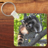 Raccoon in einem Baum Schlüsselanhänger (Vorderseite)