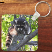 Raccoon in einem Baum Schlüsselanhänger (Rückseite)
