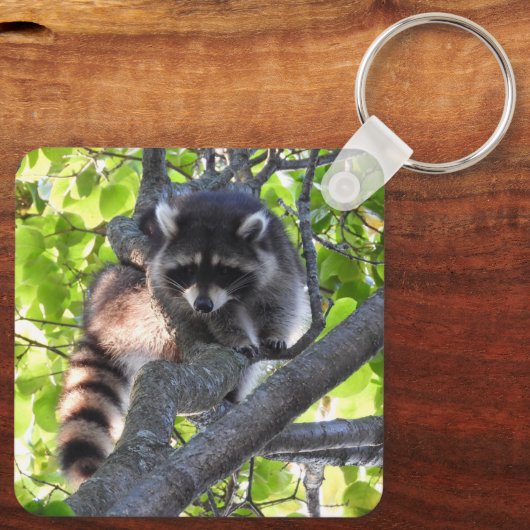 Raccoon in einem Baum Schlüsselanhänger (Rückseite)