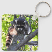 Raccoon in einem Baum Schlüsselanhänger (Rückseite)
