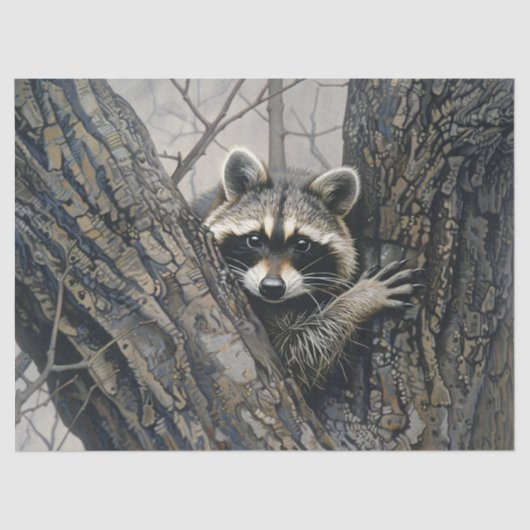 Raccoon in einer Baumfarbe Seidenpapier (Vorderseite)