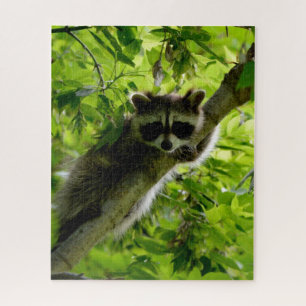 Raccoon in Green Tree Niedlich grau maskierte Marm Puzzle