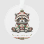 Raccoon in Knit Hat & Patchwork Sweater Ornament (Vorderseite)