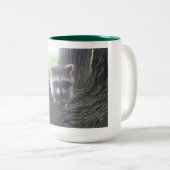 Raccoon in Tree Zweifarbige Tasse (VorderseiteRechts)